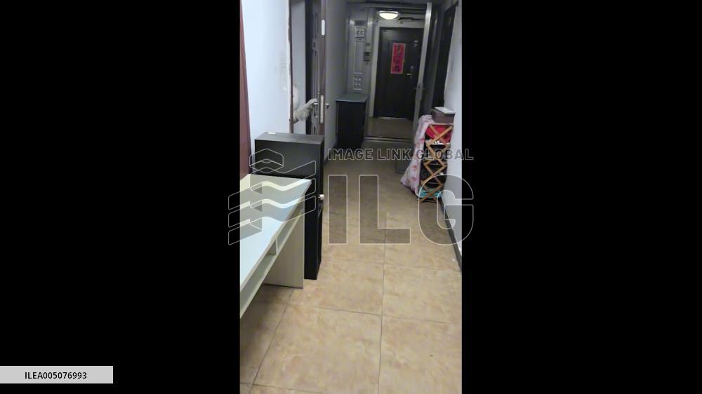 China: Smart Samoyed Opens and Closes Front Door on Its Own to Welcome Owner Home