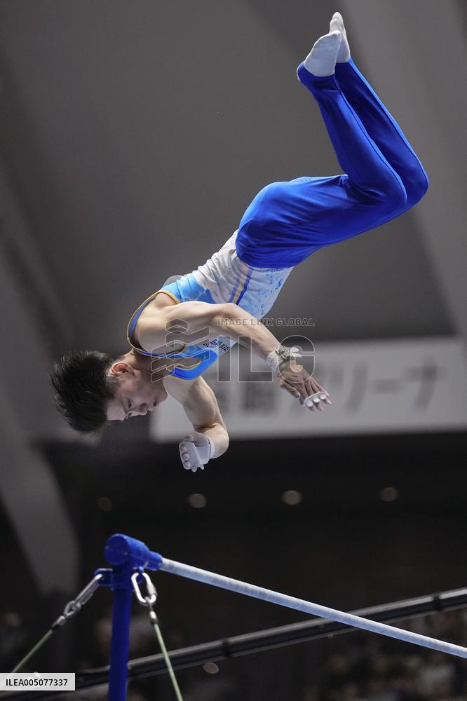 Gymnastics: national championships