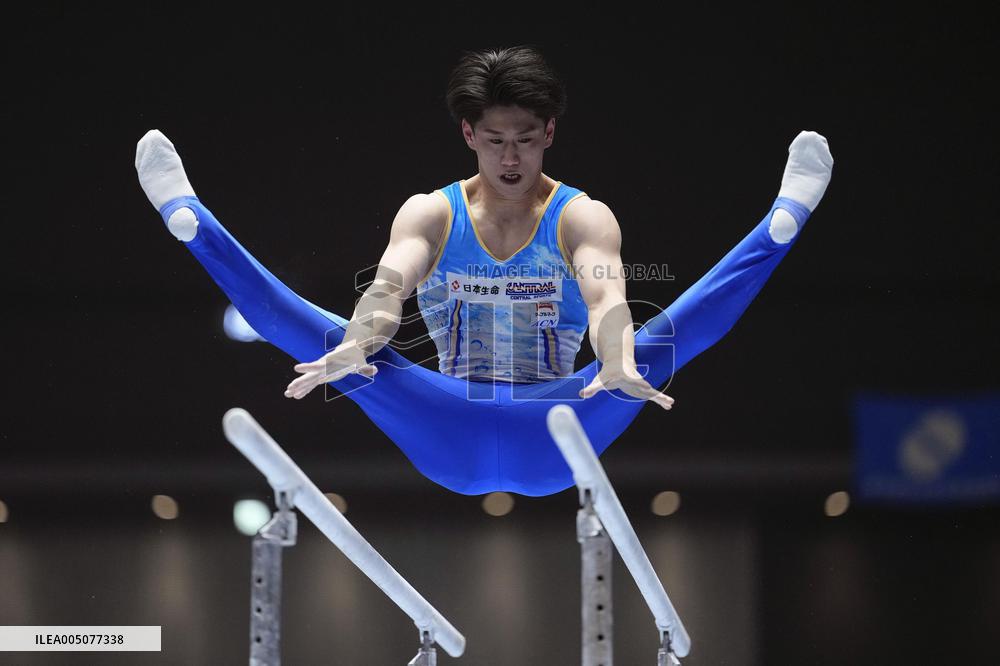 Gymnastics: national championships