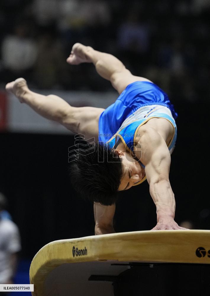 Artistic gymnastics: national championships