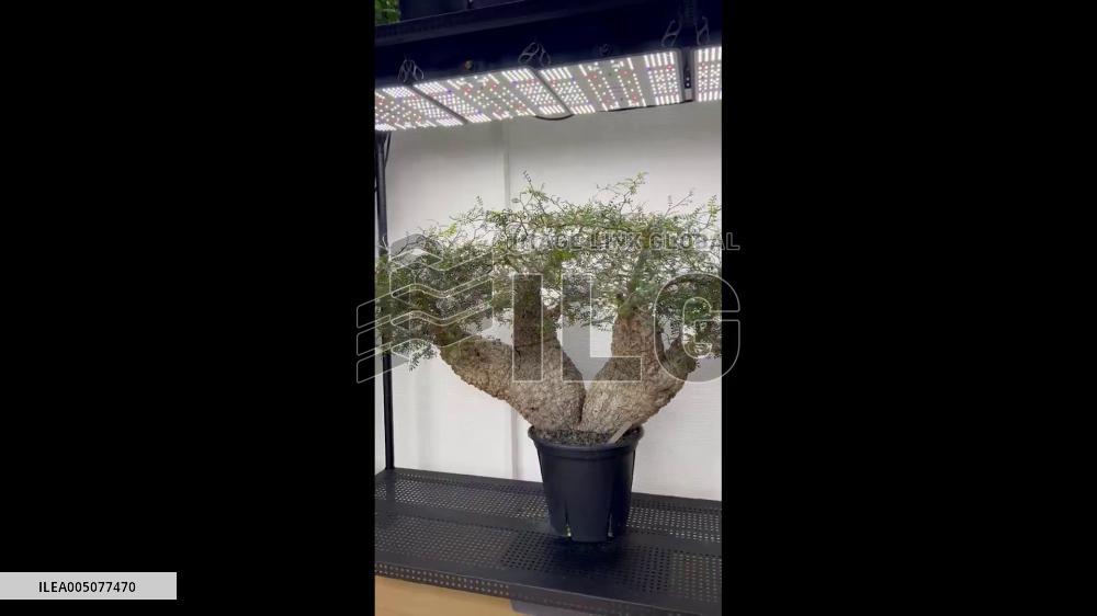 Japan: Magnitude 7.4 Earthquake Hits Tohoku, Tsunami Warning Issued 6