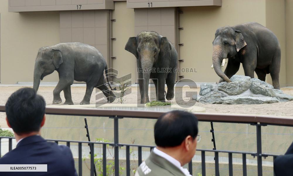 Asian elephants from Malaysia at Osaka zoo
