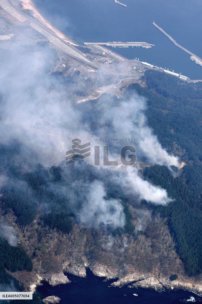 Wildfires in northeastern Japan