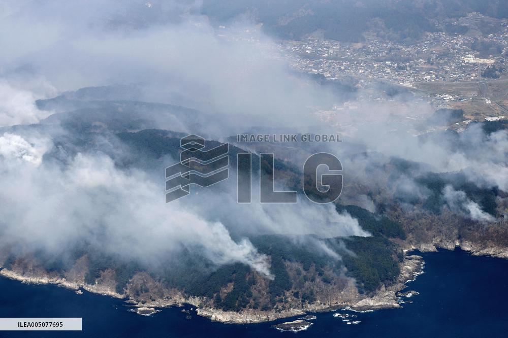 Wildfires in northeastern Japan