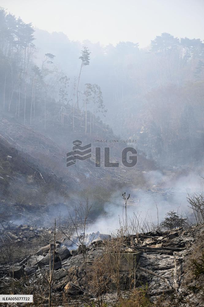 Wildfires in northeastern Japan