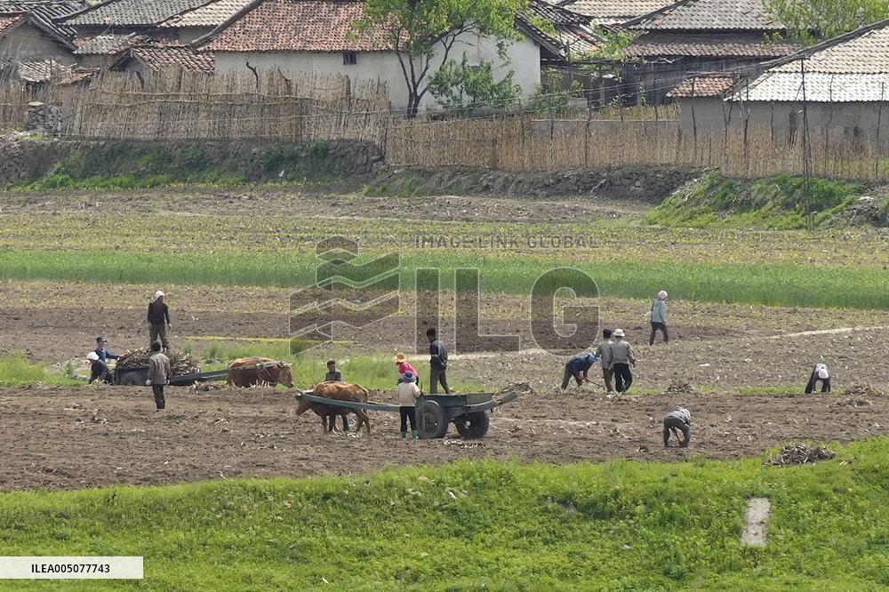 Farmers in N. Korea's Sinuiju
