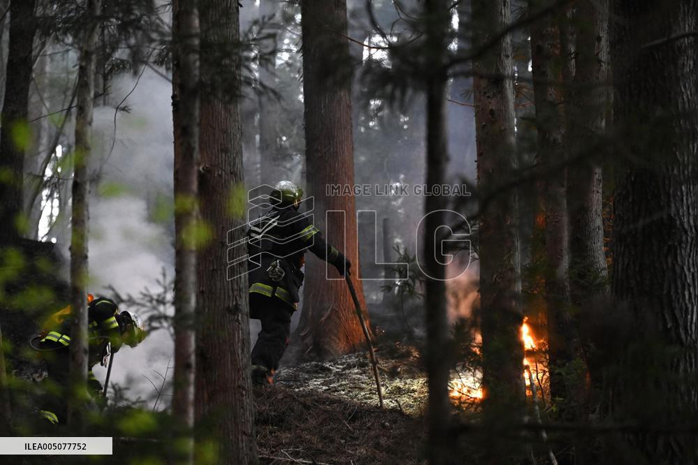 Wildfires in northeastern Japan