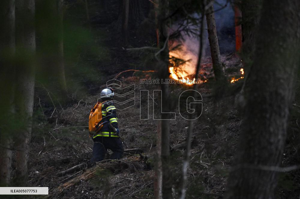 Wildfires in northeastern Japan