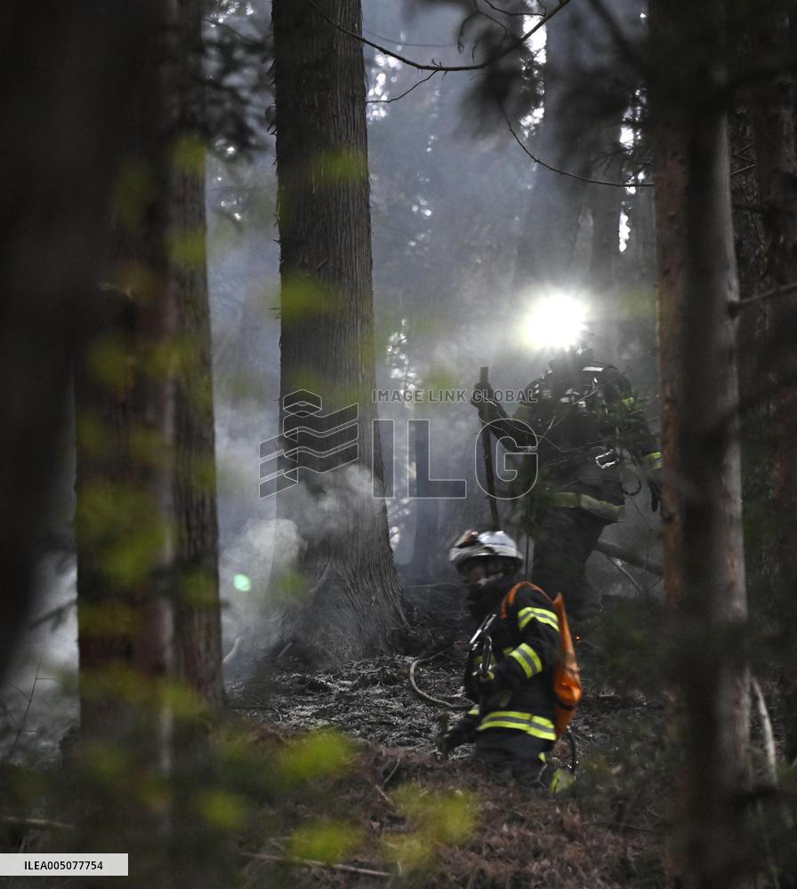 Wildfires in northeastern Japan