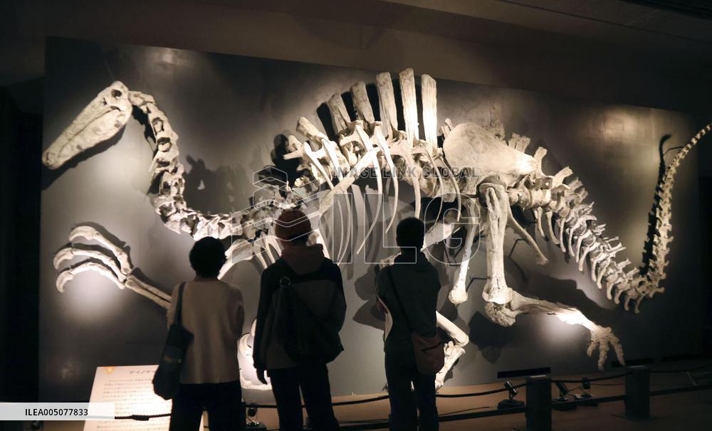 Great Dinosaur Exhibition