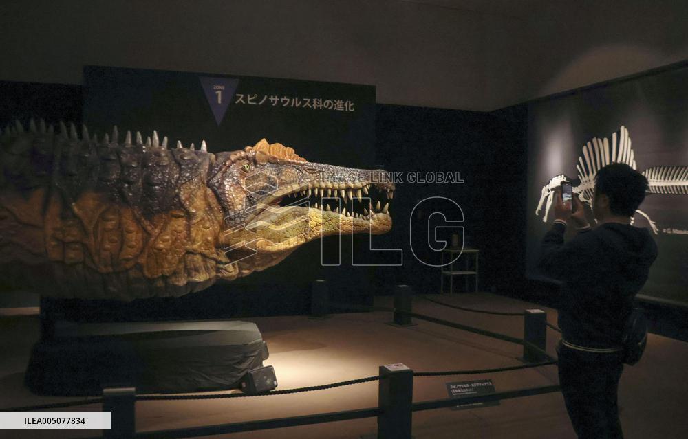 Great Dinosaur Exhibition