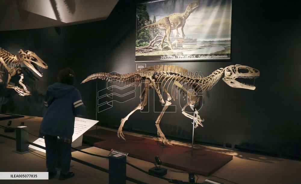 Great Dinosaur Exhibition