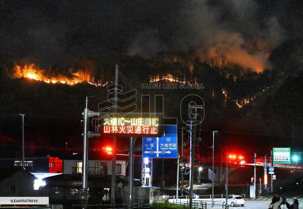 Wildfire in Iwate Pref.