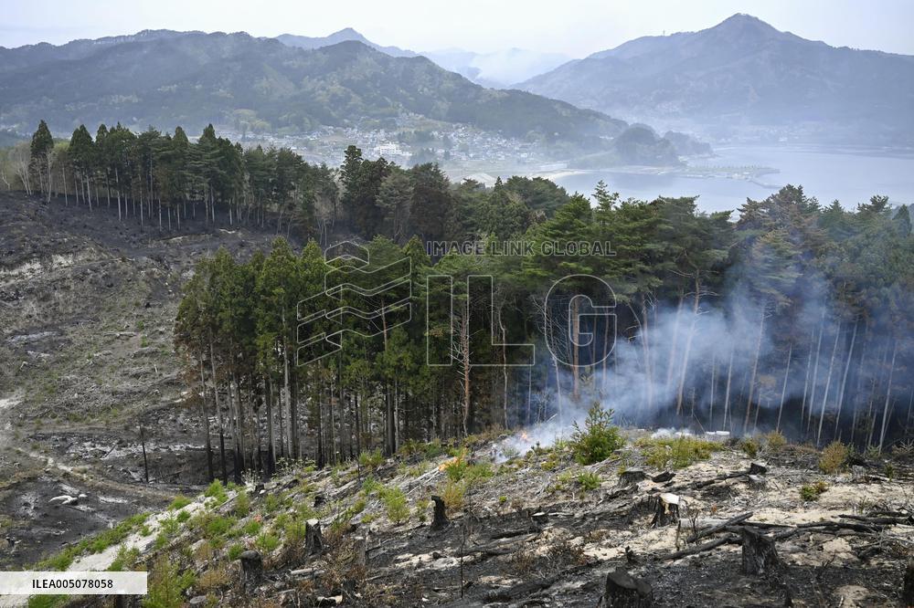 Wildfire in Iwate Pref.