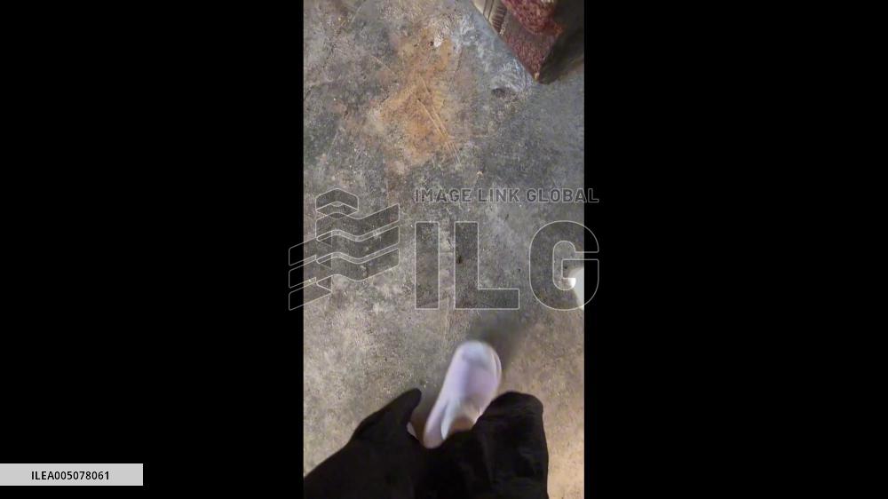 China: Copycat? Missing Pet Cat Found “Hatching” Eggs Alongside Hens in Guizhou