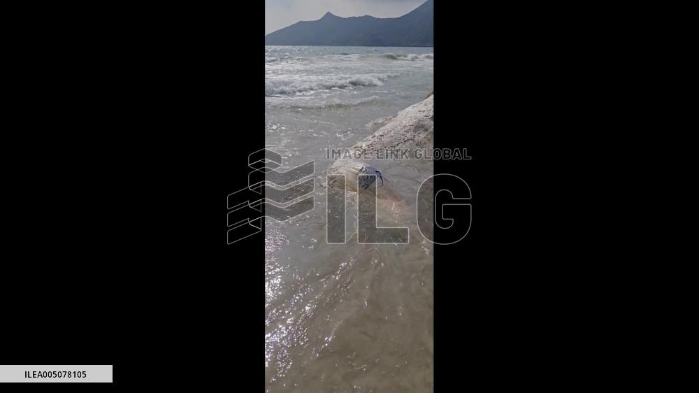 Hong Kong: Massive Whale Carcass Washes Ashore at Sai Kung East Country Park