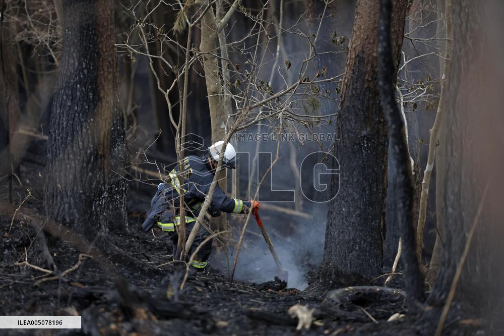 Wildfire in Iwate Pref.