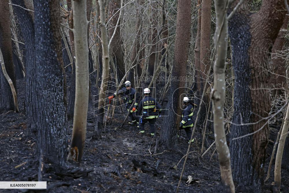 Wildfire in Iwate Pref.