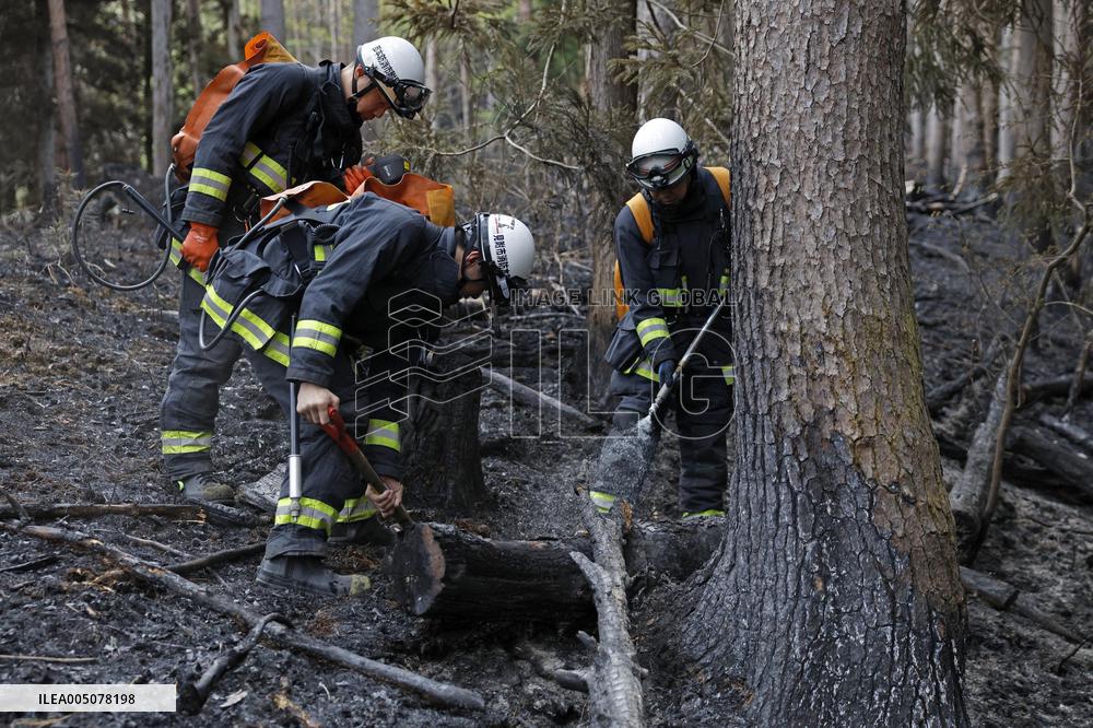Wildfire in Iwate Pref.