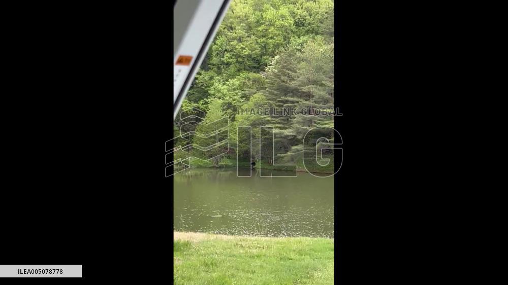 Japan: Bear Spotted at Golf Course in Fukushima