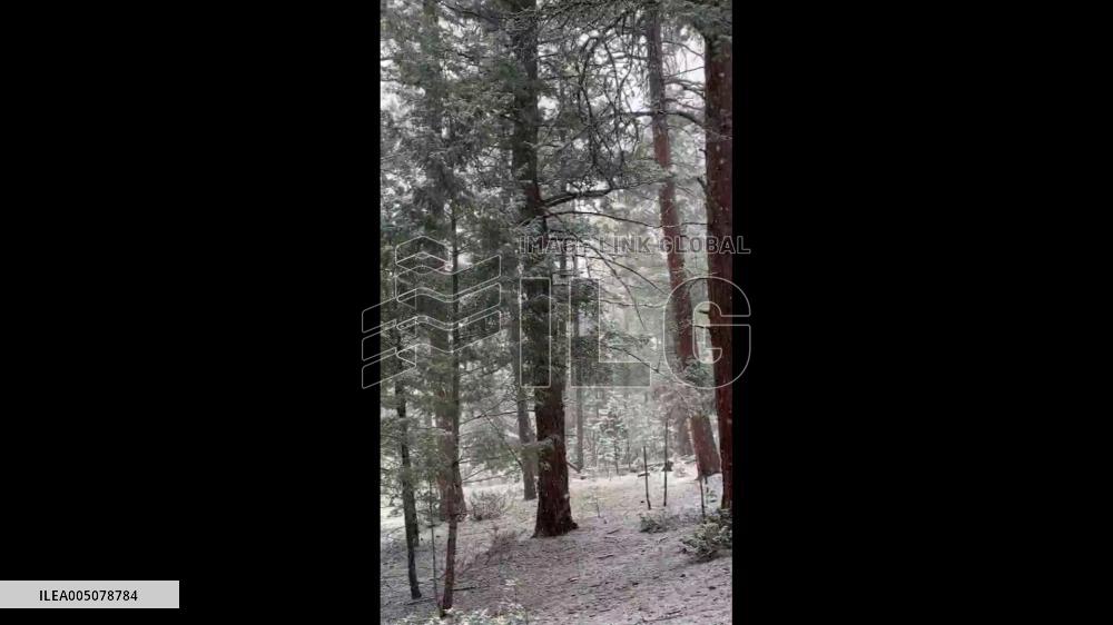 US: Spring Snowstorm Sweeps Across Colorado, Bringing Snow From Mountains to Denver 2