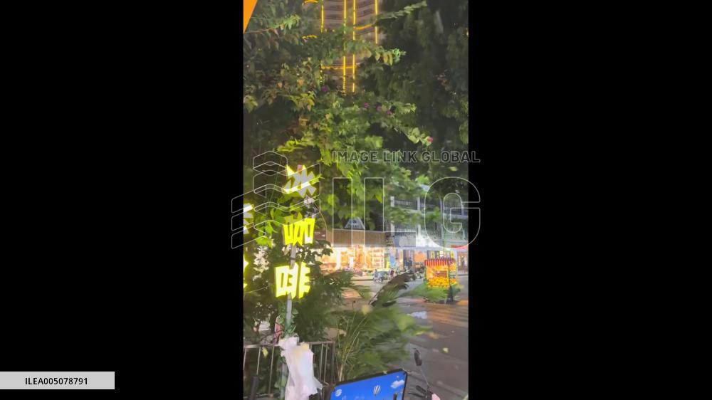 China: Violent Winds Knock Down Large Tree in Xishuangbanna, Yunnan