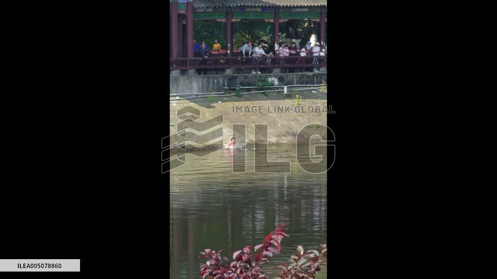 China: Bystander Dives Into Lake to Save Toddler and Grandmother in Chongqing