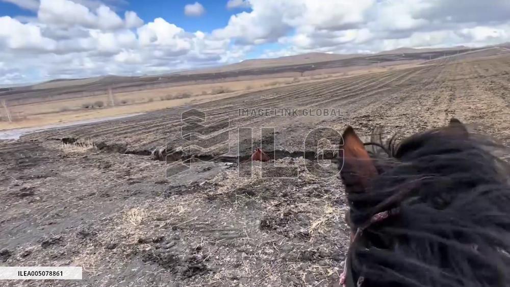 China: Pregnant Mare Rescued From Deep Ditch in Inner Mongolia