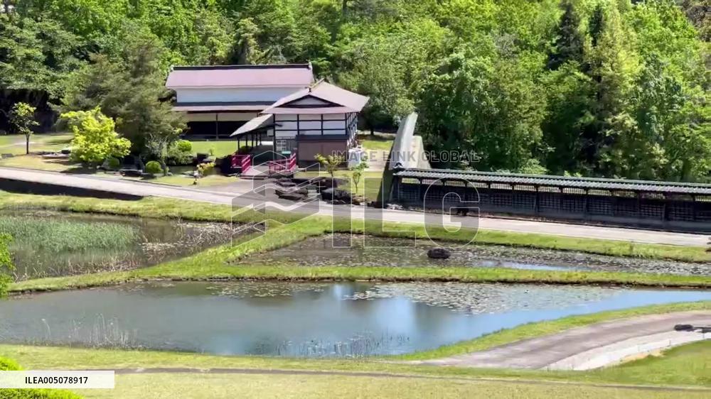 Japan: Bears Spotted Near Residential Areas as Spring Temperatures Rise
