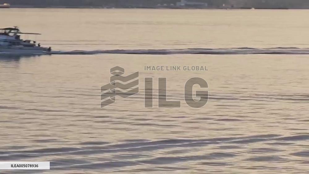 Canada: Another Grey Whale Spotted in Vancouver’s English Bay, Drawing Large Crowds