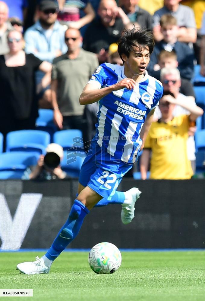 Football: Brighton winger Kaoru Mitoma