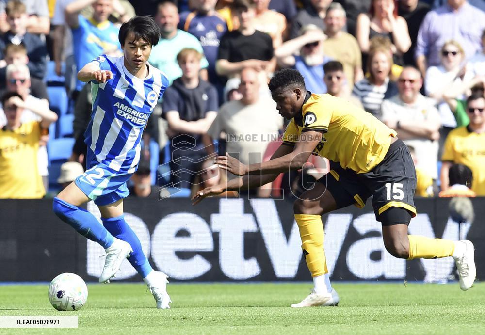 Football: Brighton winger Kaoru Mitoma