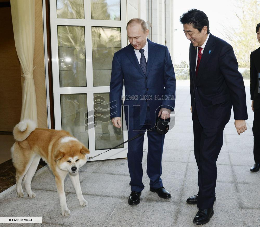 Putin's Akita dog Yume died in 2025