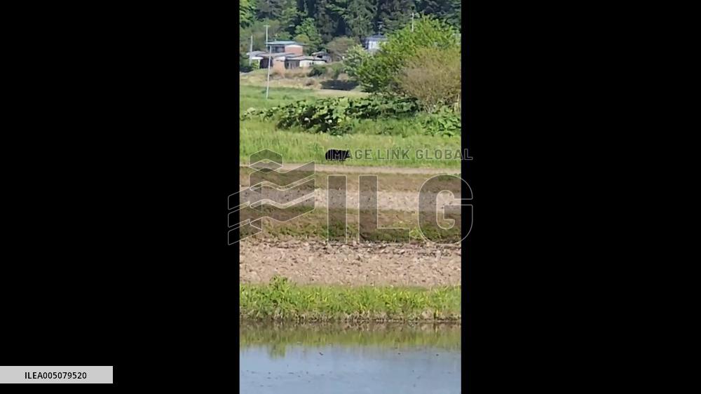 Japan: Rising Temperatures Bring Surge in Bear Sightings Near Residential Areas