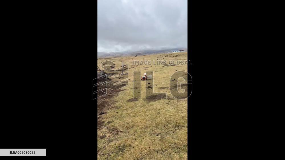 China: Toddler and Lamb Share Playful Moment With Toy Horse in Qinghai