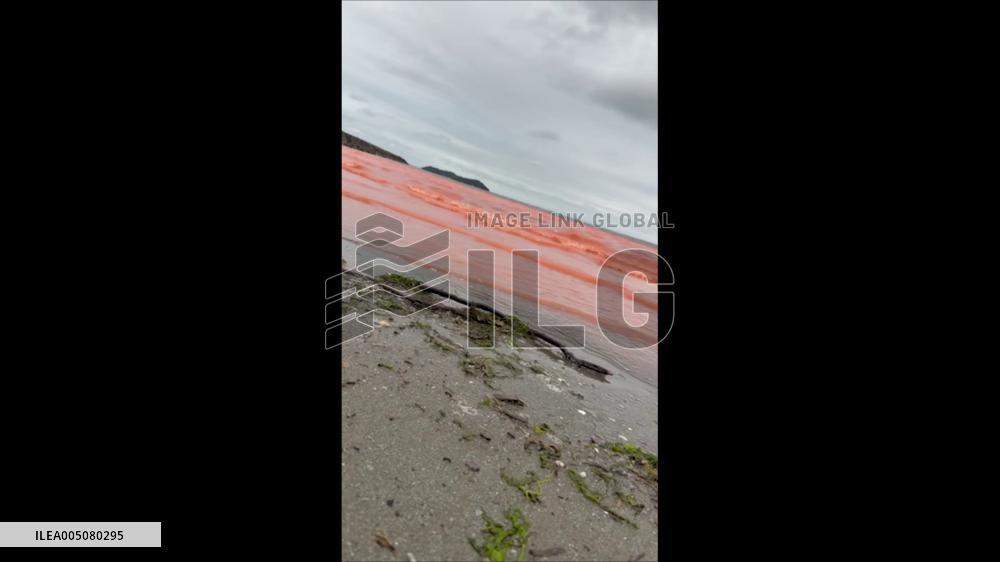 Japan: Red Tide Turns Sea Surface Crimson off Aichi Coast