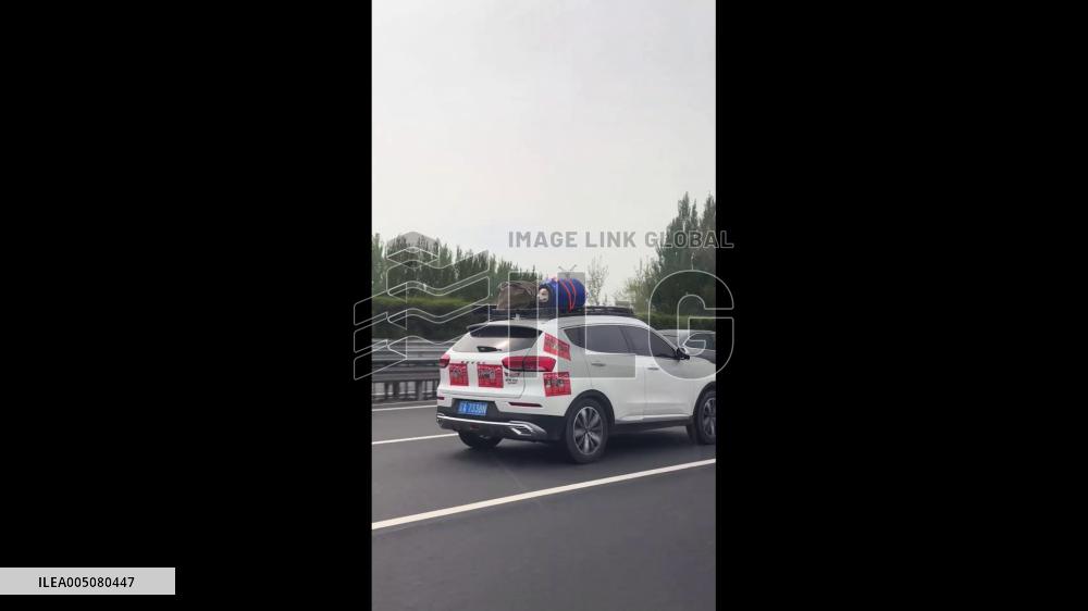 China: Corgi Rides Highway in Rooftop Bucket in Liaoning