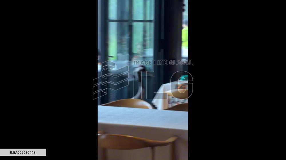 China: Red-Crowned Crane Strolls Into Restaurant and Begs for Food in Yunnan