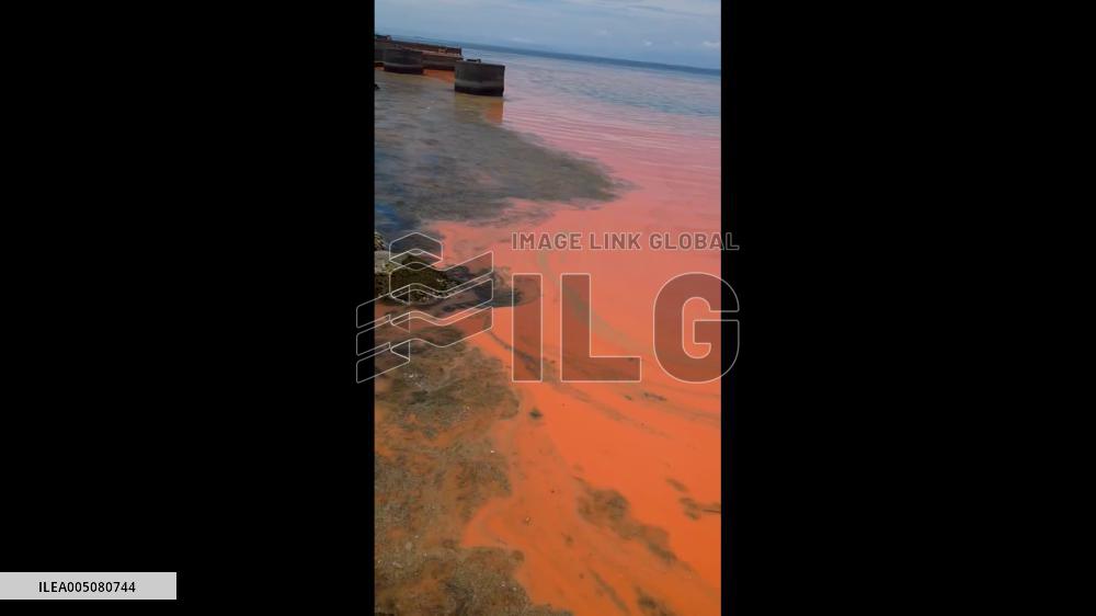 Japan: Rare Red Tide Sweeps Suruga Bay Beaches for First Time in Years