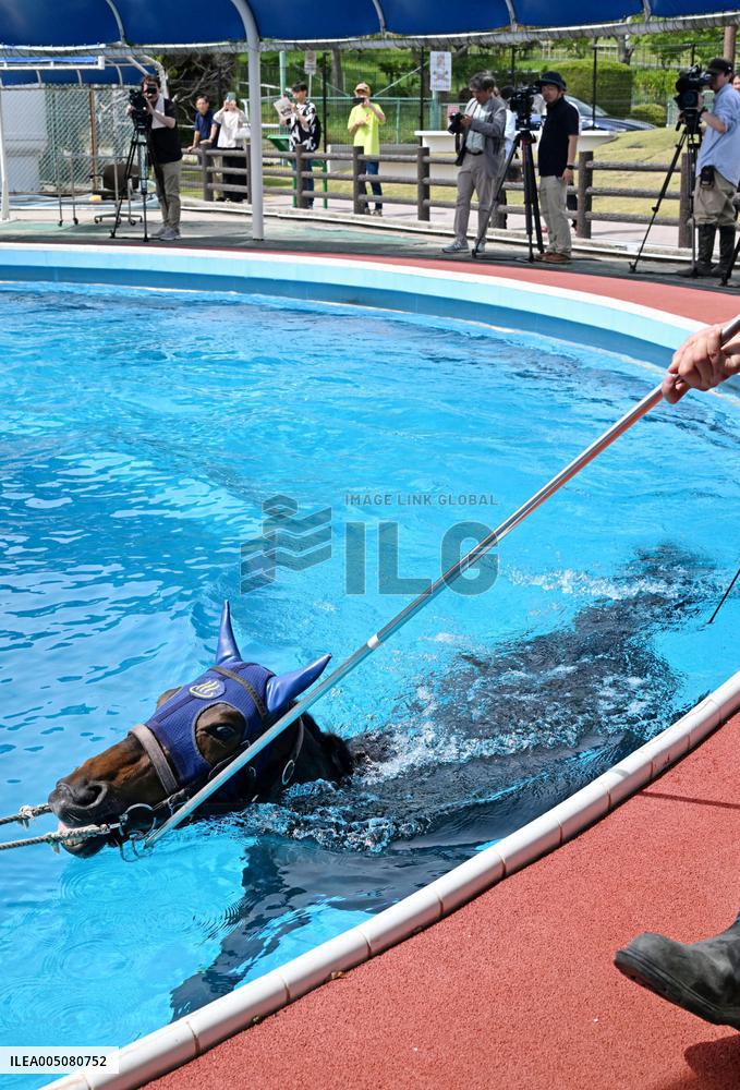 Rehabilitation of injured racing horses