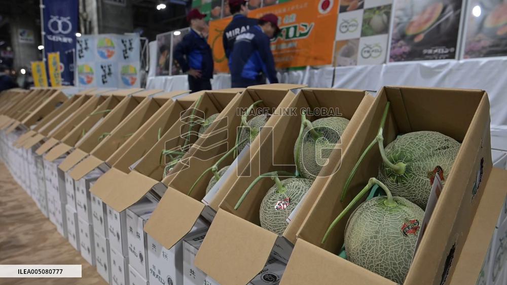 Premium melons from Hokkaido