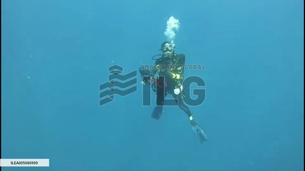 China: Diver Comes Face to Face With Huge Manta Ray in Guangdong Waters