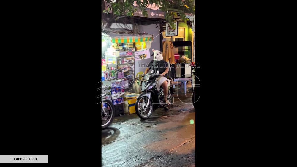 Vietnam: Optical Illusion Makes Dog Look Like Solo Motorbike Rider