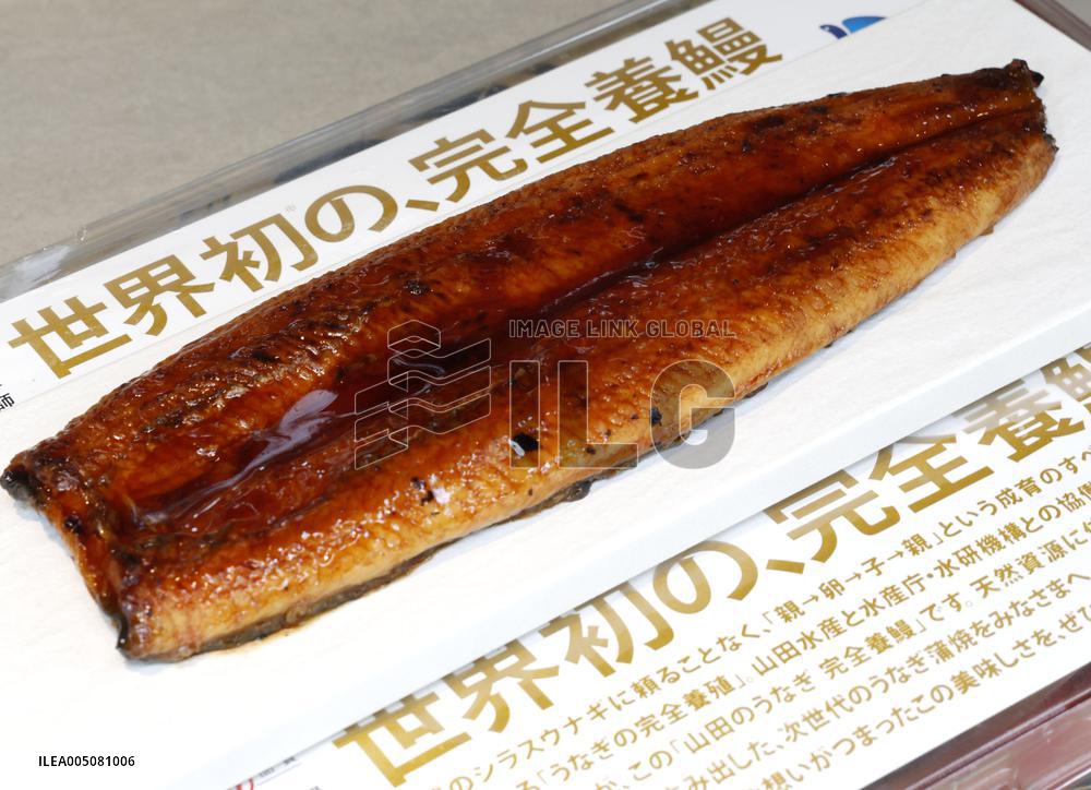 Launch of 1st sales of fully farmed eels