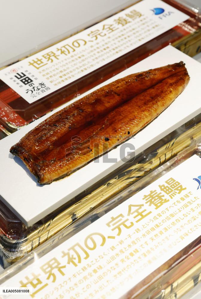 Launch of 1st sales of fully farmed eels