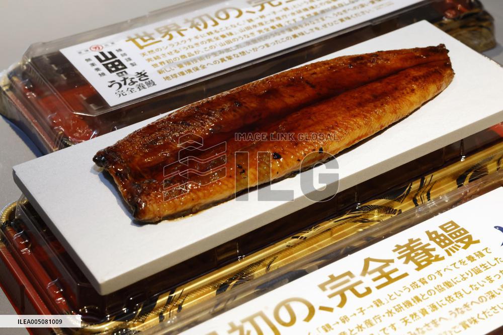 Launch of 1st sales of fully farmed eels
