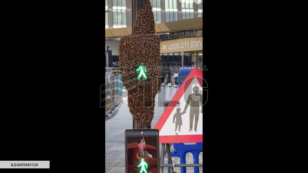 UK: Giant Bee Swarm Engulfs Pedestrian Crossing Outside Leeds Station