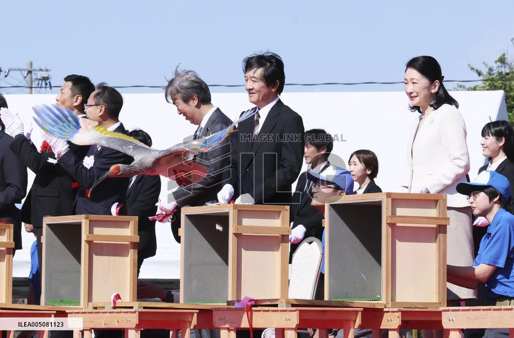 Crested ibises released into wild on Japan's main island