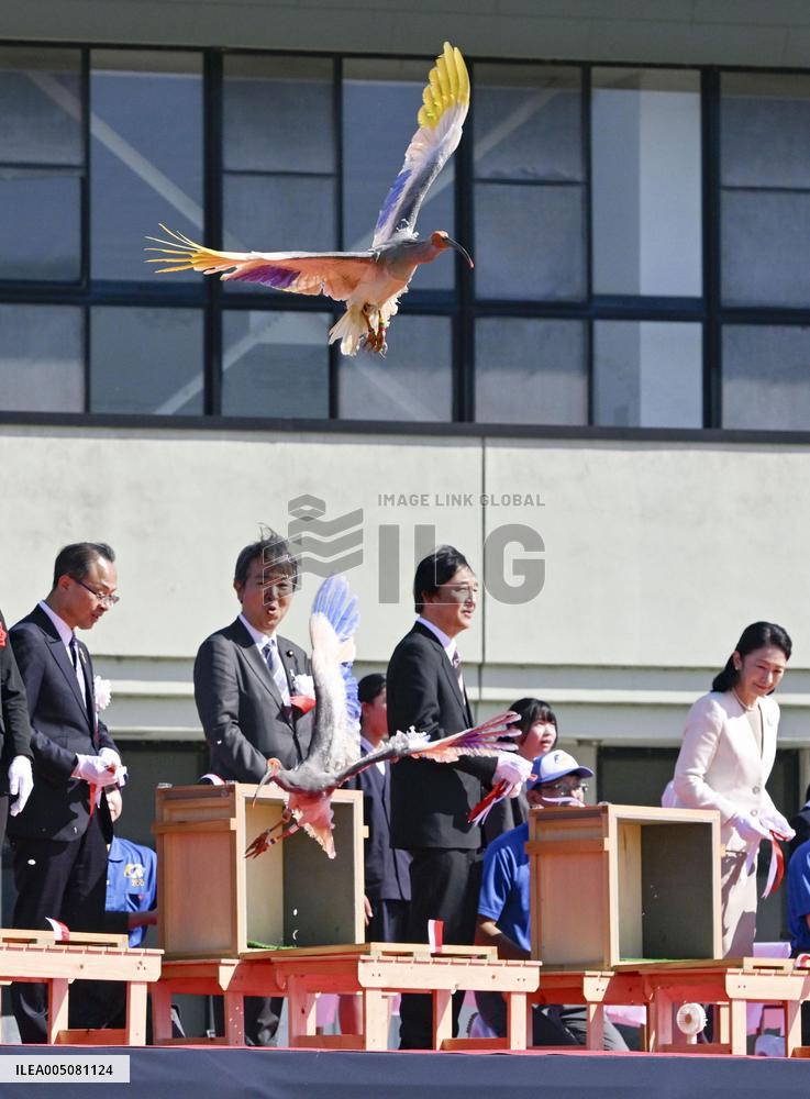 Crested ibises released into wild on Japan's main island