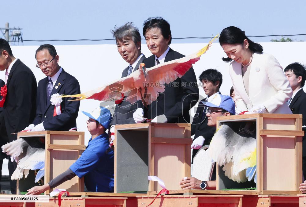 Crested ibises released into wild on Japan's main island